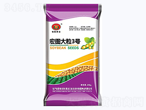 宏圖大粒3號(hào)-大豆種子-宏圖種業(yè)