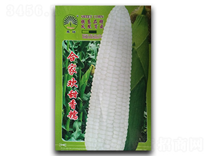 �ϼҚg-Ŵ���׷N��-�P�˷N�I(y��)