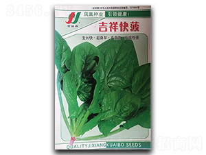 ����첤-���˷N��-�P�˷N�I(y��)