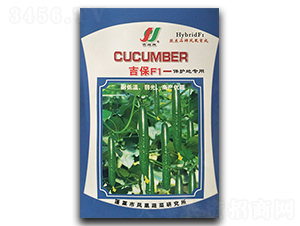 ����F1-�S�ϷN��-�P�˷N�I(y��)