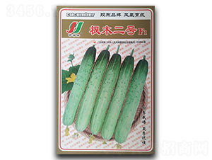 ��ľ��̖F1-�S�ϷN��-�P�˷N�I(y��)