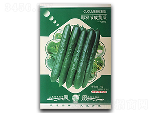 ���p��(ji��)��-�S�ϷN��-�P�˷N�I(y��)