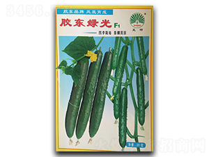 �z�|�G��F1-�S�ϷN��-�P�˷N�I(y��)