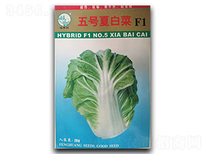 ��̖(h��o)�İײ�-�ײ˷N��-�P�˷N�I(y��)