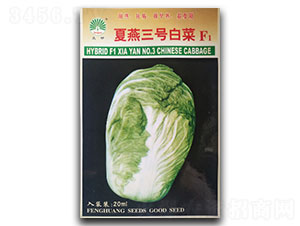 ������̖(h��o)-�ײ˷N��-�P�˷N�I(y��)