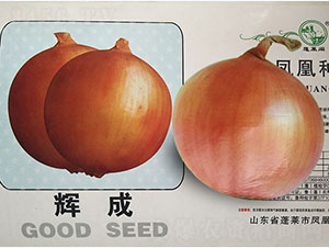 �x��-���[�N��-�P�˷N�I(y��)