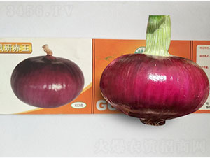 �P�г���-���[�N��-�P�˷N�I(y��)