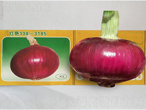 �t�G-���[�N��-�P�˷N�I(y��)