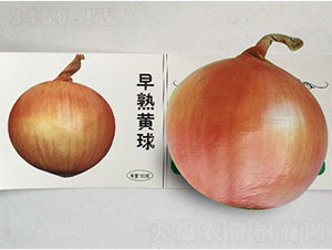 �����S��-���[�N��-�P�˷N�I(y��)