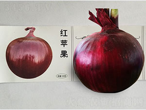 �L���ռt�O��-���[�N��-�P�˷N�I(y��)