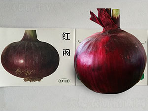 �t�w-���[�N��-�P�˷N�I(y��)