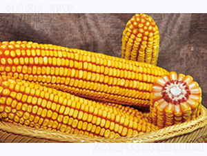 �L�S59-���׷N��-�����N�I(y��)