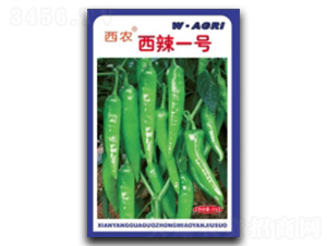 ����1̖-�����N��-�ؼt�N�I(y��)