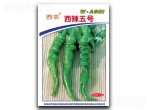 ����5̖-�����N��-�ؼt�N�I(y��)