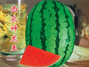 ���r(n��ng)������-���ϷN��-�ؼt�N�I(y��)