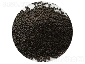 �A�w���u�S��-�T������