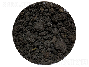 ���ţ�S-�T������