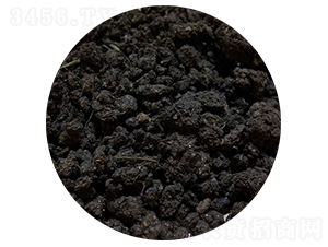 ����S��-�T������