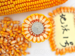 ����1̖-���׷N��-���ɷN�I(y��)