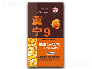 ����9-���׷N��-�u(y��)�S�N�I(y��)