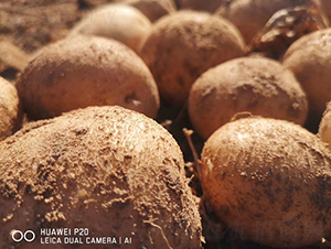 ������-�R����N��-����N�I(y��)