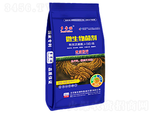 �S�����΢�������-�����Z-�Մ�(chu��ng)����