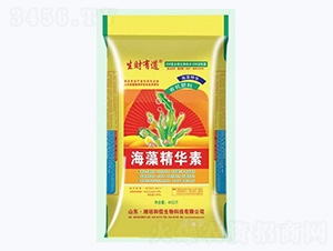 ���徫�A��-��ؔ�е�-�������� 