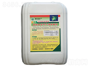 OSA��������F�-���r����