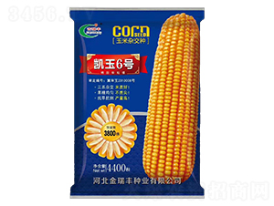 �P��6̖-���׷N��-�����S�N�I(y��)