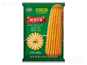 �P��6̖���G��-���׷N��-�����S�N�I(y��)