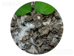 曬干雞糞-旭澤田