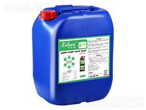 ȸ�`��-���_˹-��̷ʘI(y��)