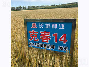 �˴�14-С���N��-�L(zh��ng)�ǷN�I(y��)