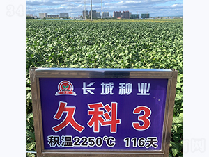 �ÿ�3̖(h��o)-�󶹷N��-�L(zh��ng)�ǷN�I(y��)