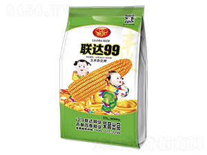 聯(lián)達99-玉米種子-四季種業(yè)