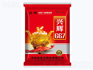 �d�x667-���׷N��-���d�N�I(y��)