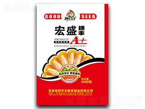 ��ʢ���SA+-���׷N��-���r(n��ng)�N�I(y��)