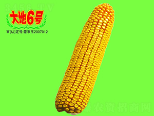 ���6̖(h��o)-���׷N��-��طN�I(y��)