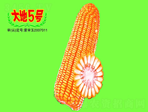 ���5̖(h��o)-���׷N��-��طN�I(y��)