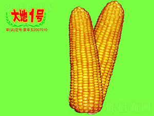 ���1̖(h��o)-���׷N��-��طN�I(y��)