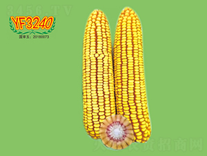 YF3240-���׷N��-��طN�I(y��)