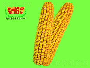 ����8̖(h��o)-���׷N��-��طN�I(y��)