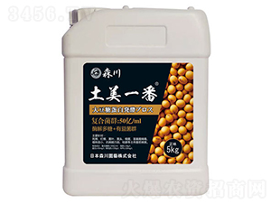 ����һ�������;���-ɭ��-����