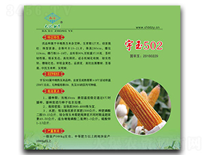 ����502-���׷N��-��طN�I(y��)