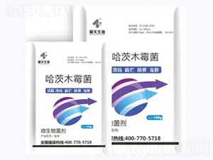 ����ľù��-�������