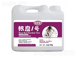 �ߝ�s������(f��)��΢�������-����1̖(h��o)-��������