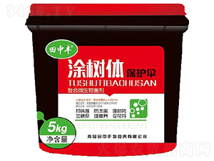 ��(f��)��΢�������-Ϳ��(sh��)�w���o(h��)��-��������