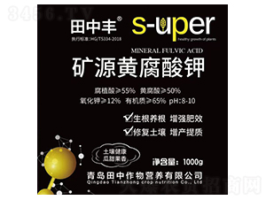 �VԴ�S�����-��������