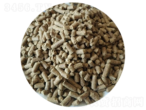 ΢�������-ʥ������