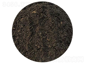 ţ�S-ʥ������